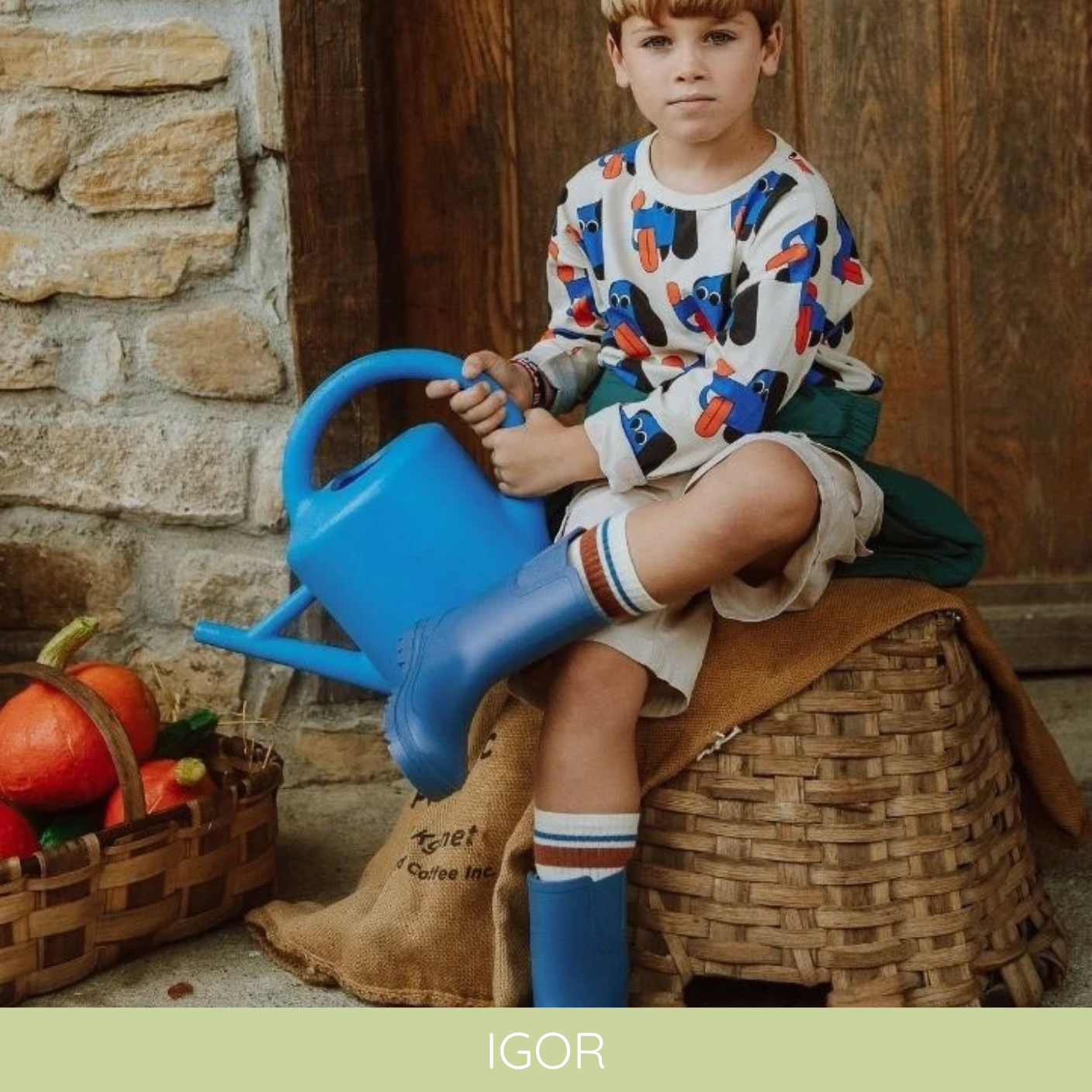 Igor – Minimu