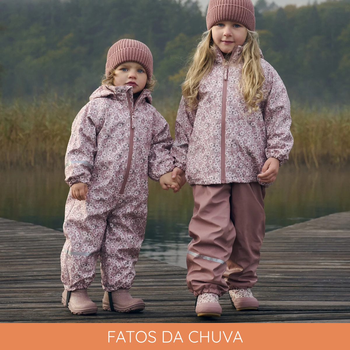 Fatos da Chuva