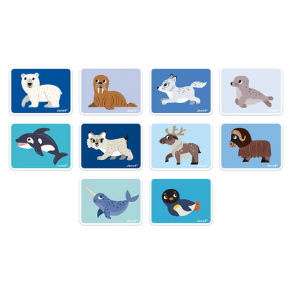 Janod - Magneti' Book Animais do Gelo