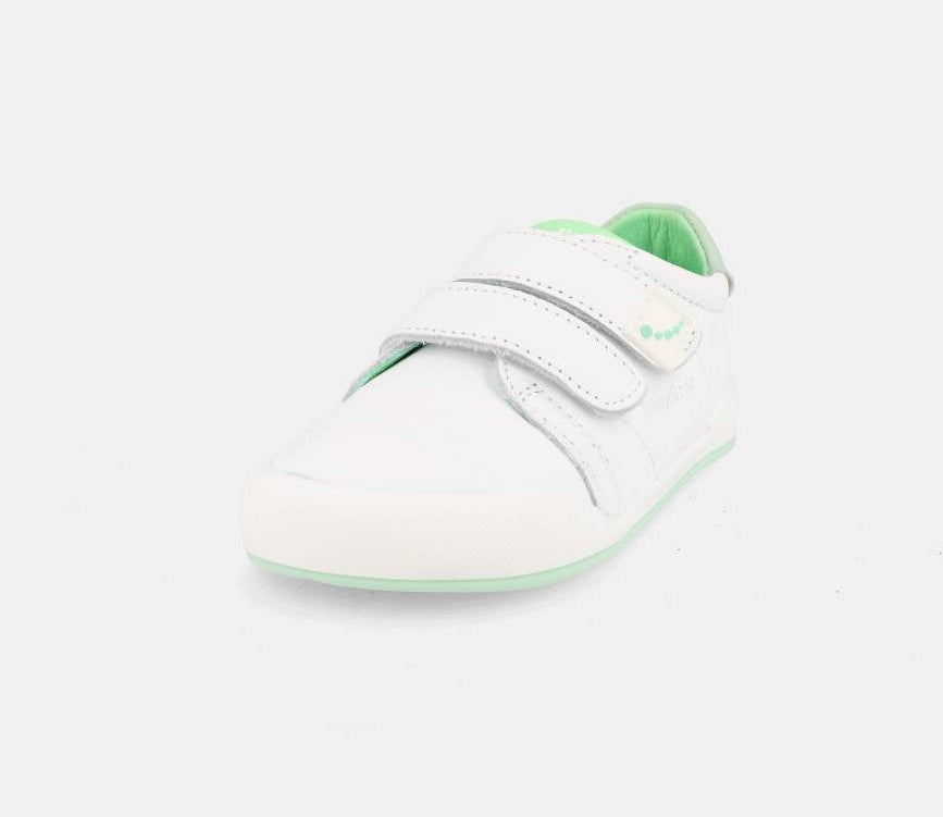 Blanditos by Crio's - Londres Verde