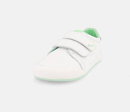 Blanditos by Crio's - Londres Verde