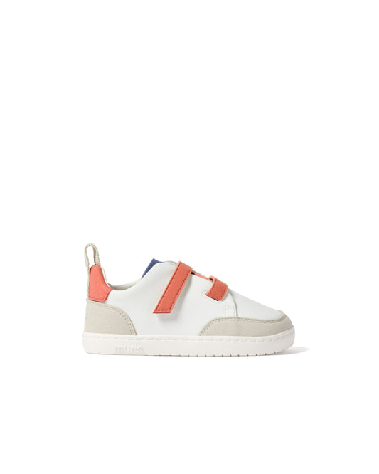 Muris - Terrenova Multicolor Mini