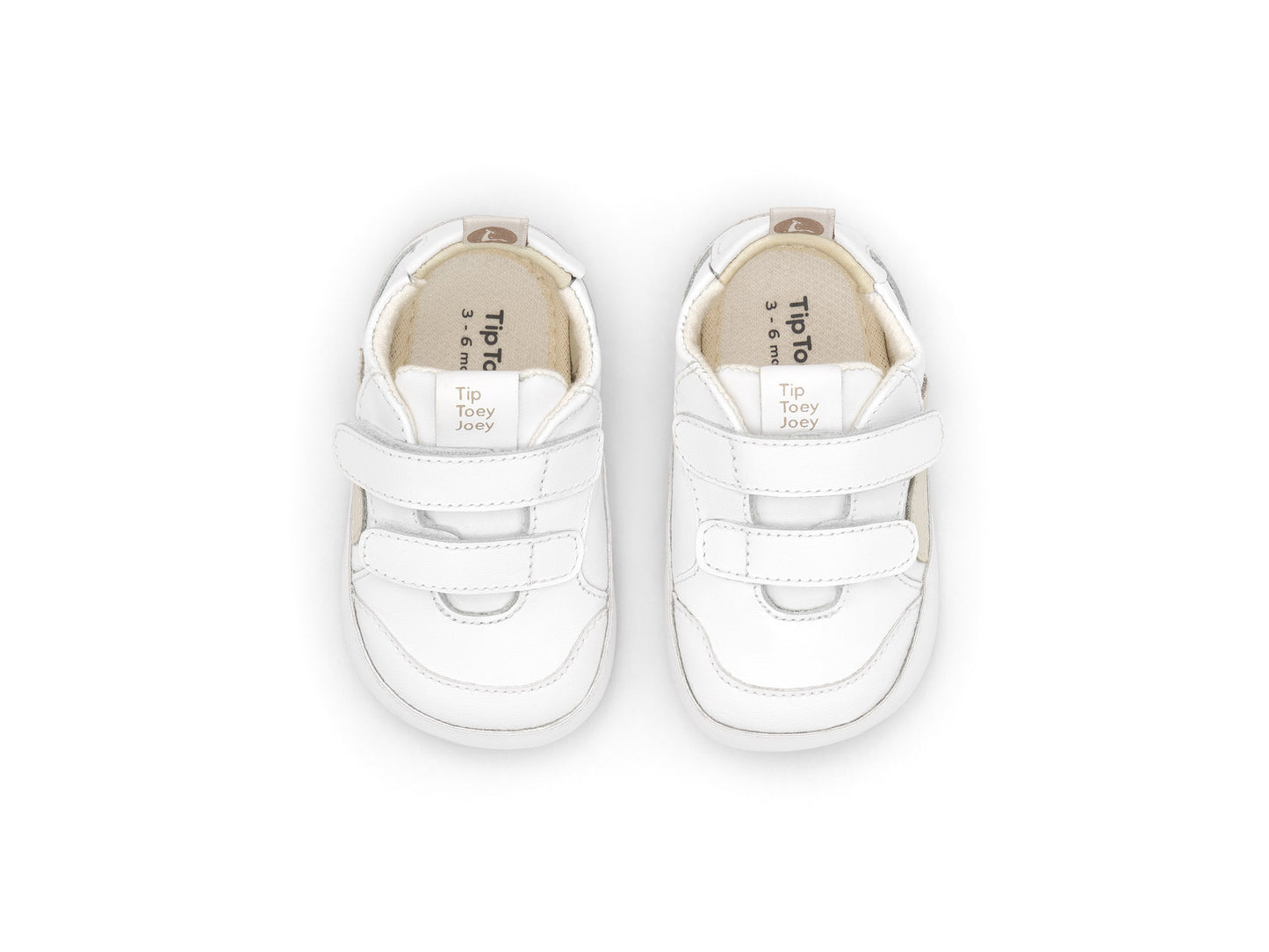 Tip Toey Joey - Landy Branco